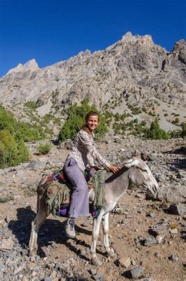  Riding Donkey Across a Mountain Pass： 幽玄な山岳風景と躍動感あふれる線